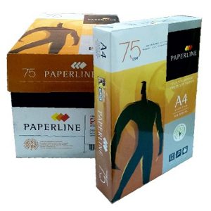 PAPERLINE 75gsm A4 Copier Paper 500Sheets*5Reems/Box